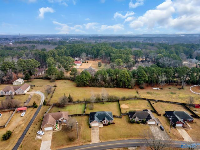 14414 Sloan Road, Athens, AL 35613