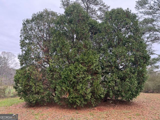 718 Duncan Road, Carrollton, GA 30116