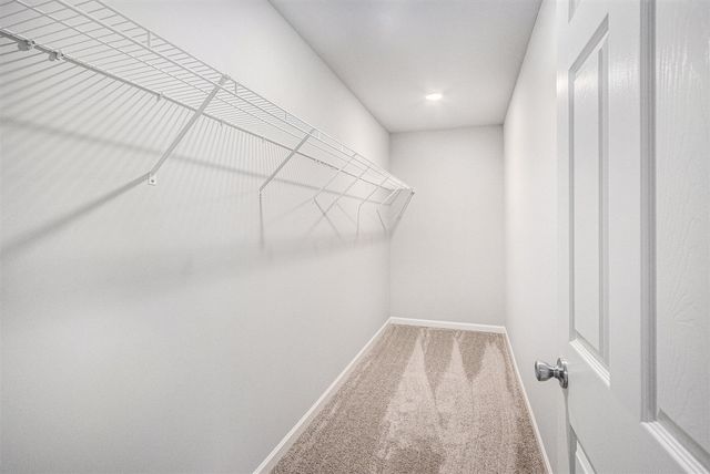 2809 Sanderling Court, Grand Rapids, MI 49508