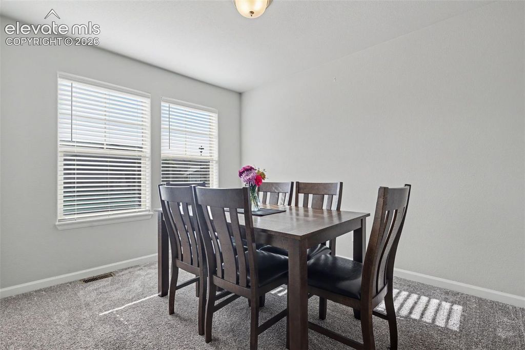 4418 Quartzite Place, Colorado Springs, CO 80938 — photo 5