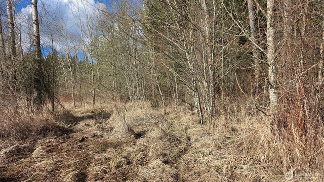 32504 Mountain Highway E, Eatonville, WA 98328