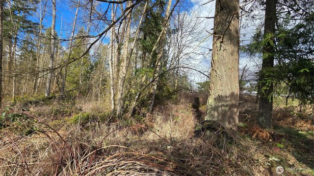 32504 Mountain Highway E, Eatonville, WA 98328