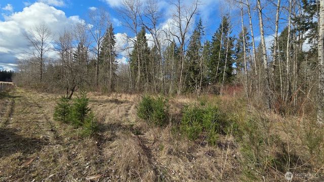 32504 Mountain Highway E, Eatonville, WA 98328