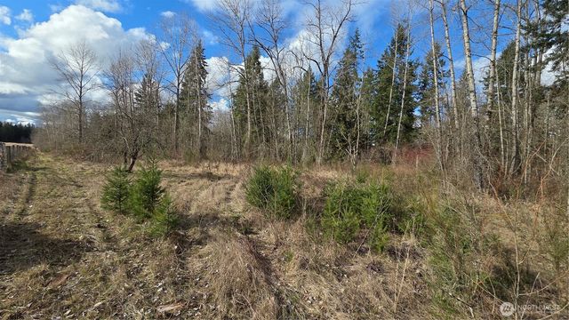 32504 Mountain Highway E, Eatonville, WA 98328