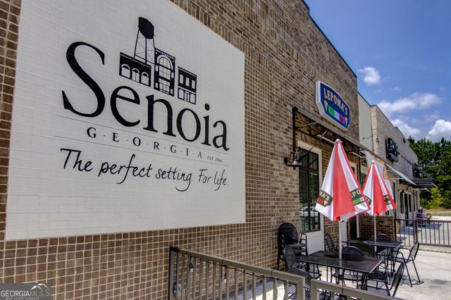 120 Redhaven Drive, Senoia, GA 30276