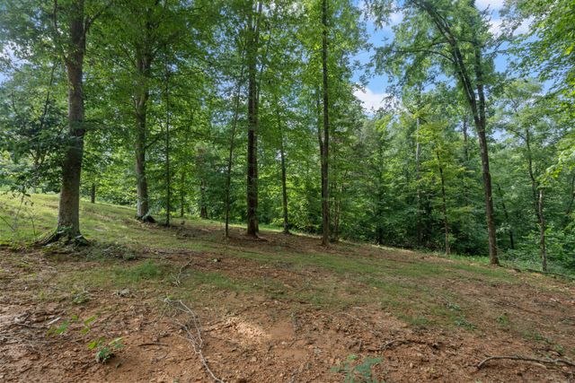 7922 E Plunders Creek Rd, Dickson, TN 37055