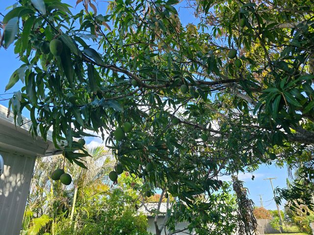 8122 SE Skylark Avenue, Hobe Sound, FL 33455
