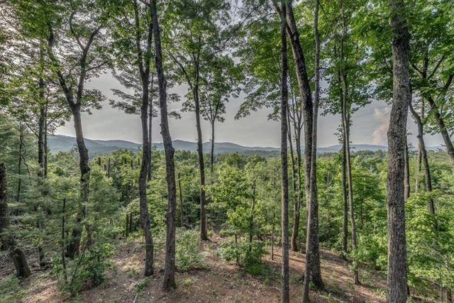 587 Candy Lane, Ellijay, IA 50512