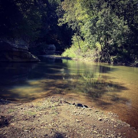 4670 Brookridge RD, Roanoke, VA 24014