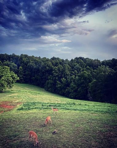 4670 Brookridge RD, Roanoke, VA 24014