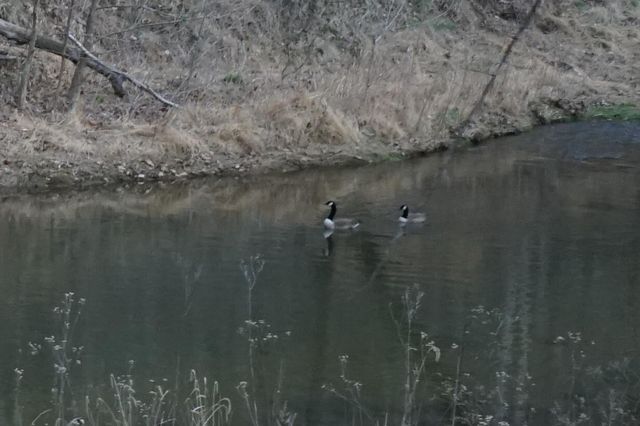 4670 Brookridge RD, Roanoke, VA 24014