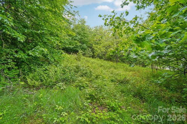 434 Dovers Branch Road, Burnsville, NC 28714
