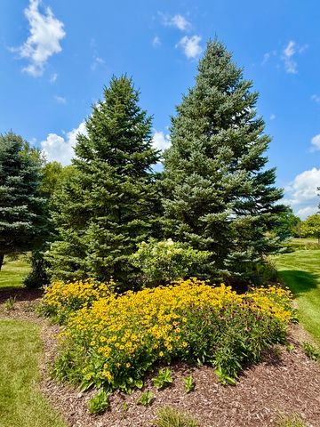 19132 Boulder Ridge Court, Mokena, IL 60448