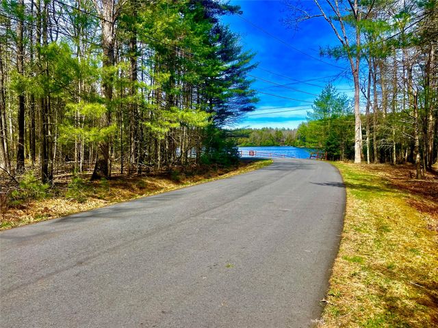 Lot 55 Timber Lake Drive, Eldred, NY 12528