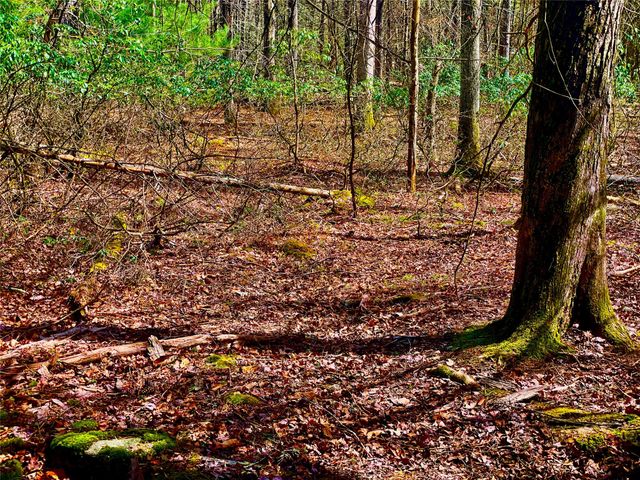 Lot 55 Timber Lake Drive, Eldred, NY 12528