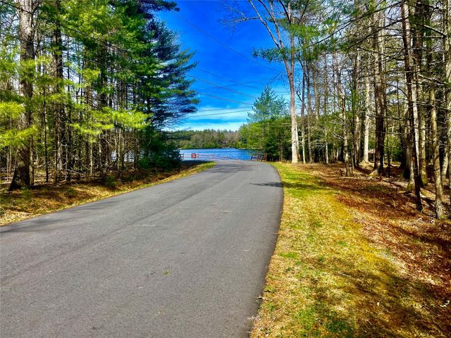 Lot 55 Timber Lake Drive, Eldred, NY 12528