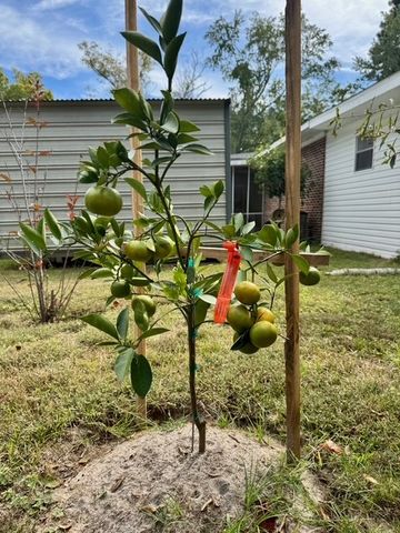 505 E Hart Ave, Opp, AL 36467