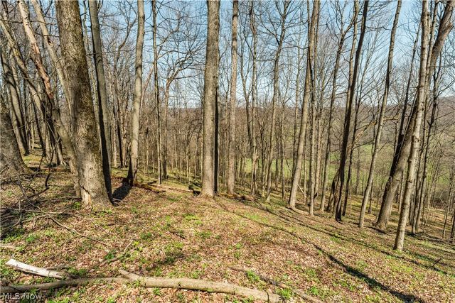 31370 Cadiz Dennison Road, Uhrichsville, OH 44683