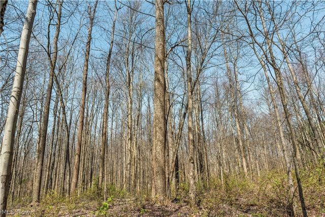 31370 Cadiz Dennison Road, Uhrichsville, OH 44683