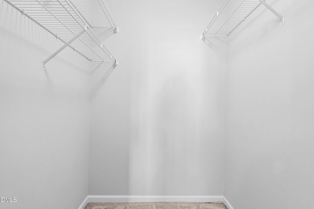 5228 Turf Grass Court, Raleigh, NC 27610