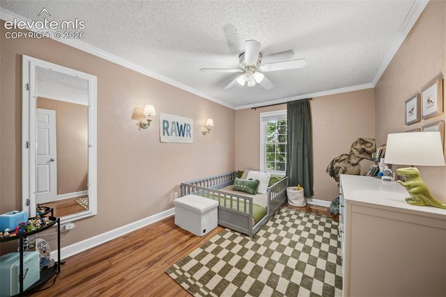 202 Blanca Court, Colorado Springs, CO 80919