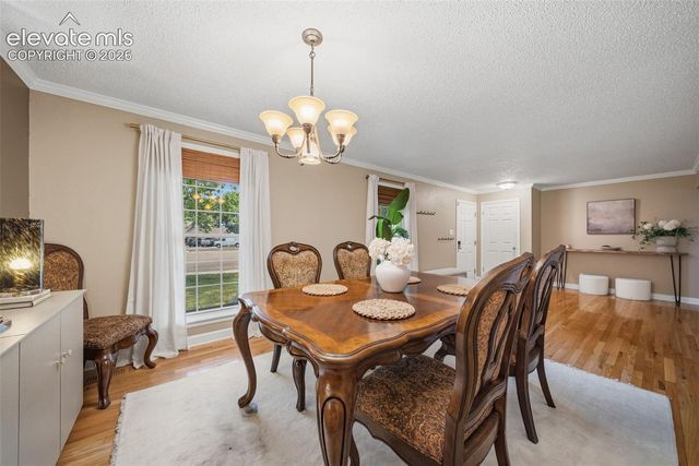 202 Blanca Court, Colorado Springs, CO 80919