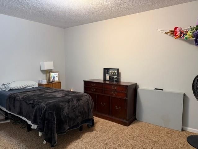 1099 SIMMONS RIDGE DR, Collierville, TN 38017