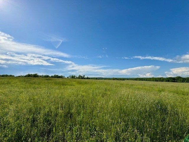 1 Topsy Rd, Waynesboro, TN 38485