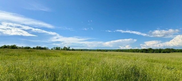 1 Topsy Rd, Waynesboro, TN 38485