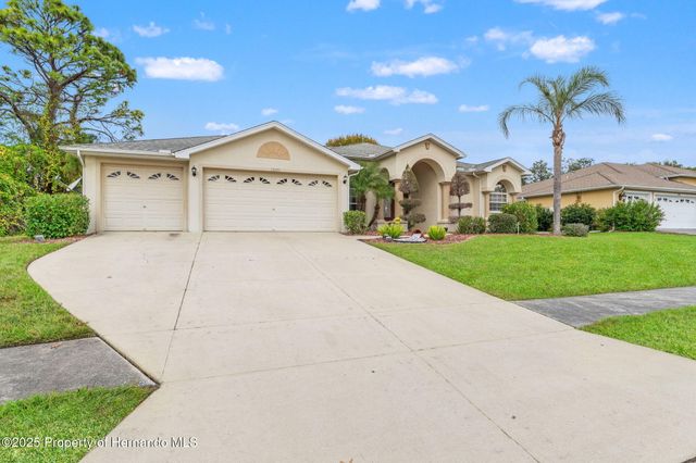 13375 Newcastle Avenue, Spring Hill, FL 34609