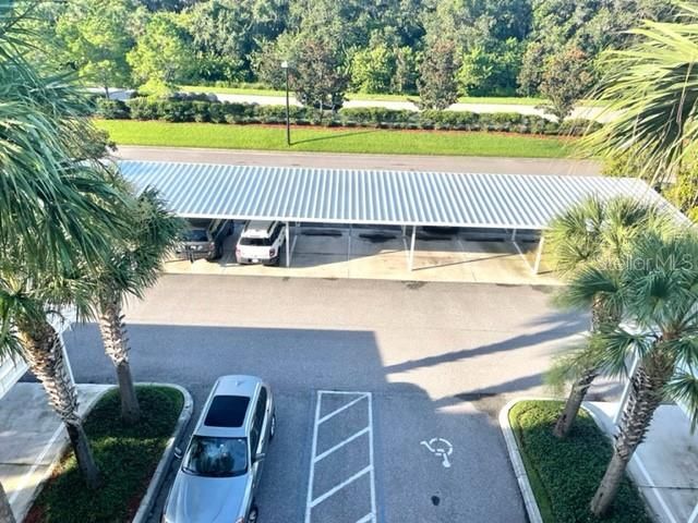 7019 RIVER HAMMOCK DRIVE 404, Bradenton, FL 34212