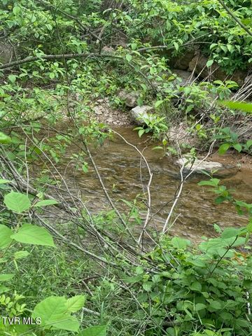 Tbd Fairview Street, Mountain City, TN 37683