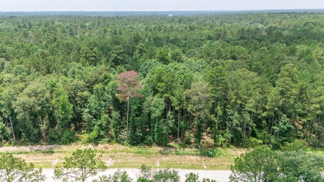 128 Splendid Road, New Waverly, TX 77340