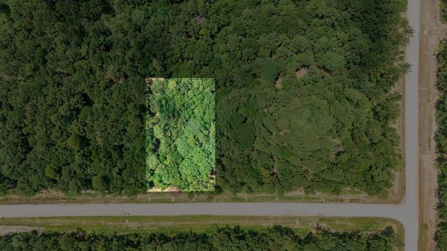 128 Splendid Road, New Waverly, TX 77340