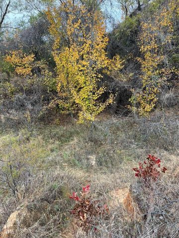 1073 Gonzollas Road, Springtown, TX 76082