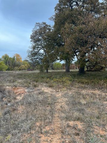 1073 Gonzollas Road, Springtown, TX 76082