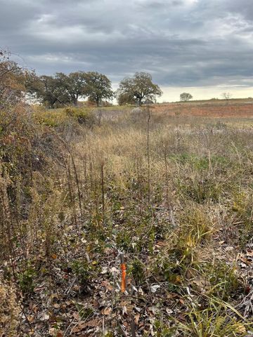 1073 Gonzollas Road, Springtown, TX 76082