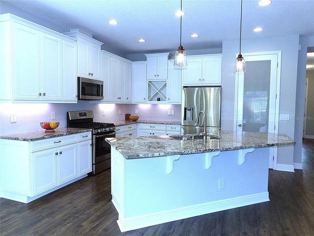 3208 HEART PINE AVENUE, Odessa, FL 33556