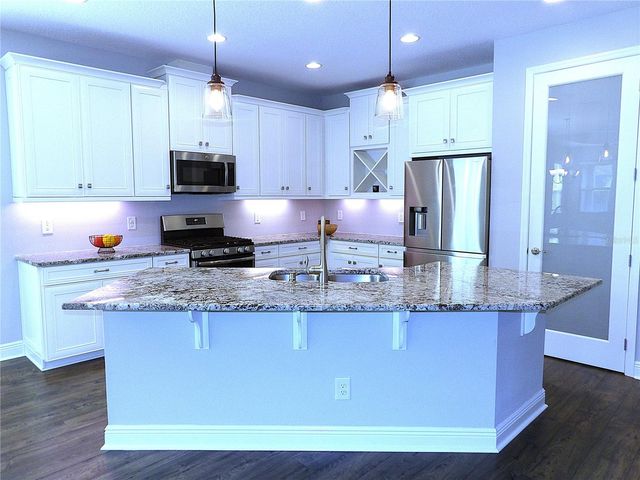 3208 HEART PINE AVENUE, Odessa, FL 33556