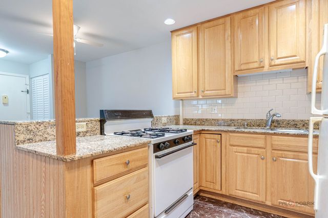 575 Heritage Drive 206, Schaumburg, IL 60169