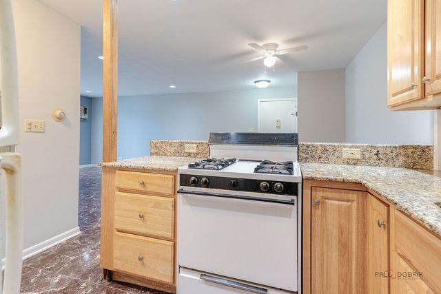 575 Heritage Drive 206, Schaumburg, IL 60169