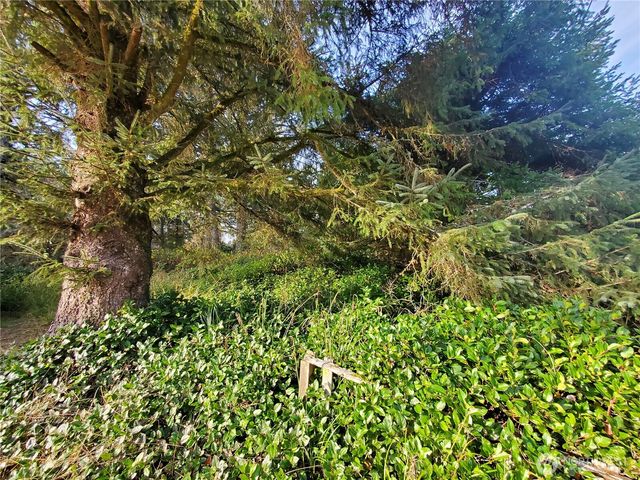 407 Mount Olympus Avenue SE, Ocean Shores, WA 98569