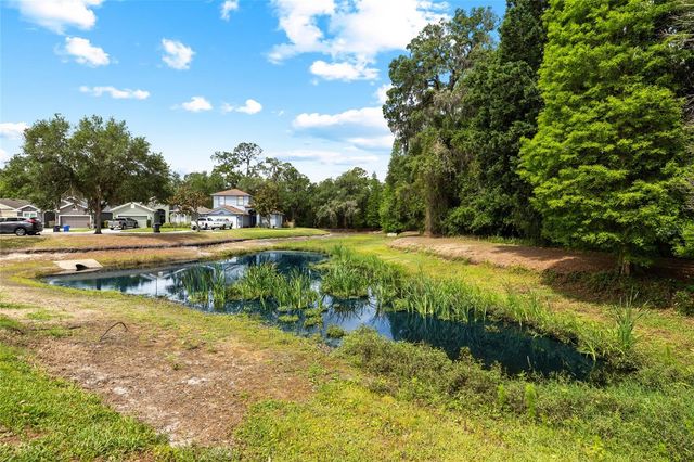 8515 TIDAL BREEZE DRIVE, Riverview, FL 33569