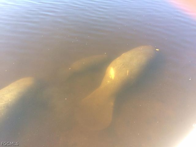 3490 N Key DR 301, North Fort Myers, FL 33903