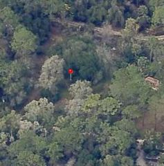 18901 SE 93RD STREET, Ocklawaha, FL 32179