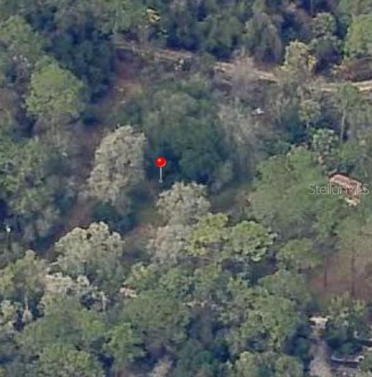 18901 SE 93RD STREET, Ocklawaha, FL 32179