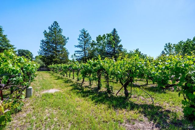 5533 Oak Meadow Dr, Santa Rosa, CA 95401