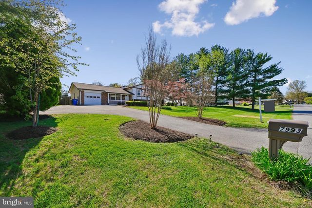 7993 PLEASANT CT, Frederick, MD 21701