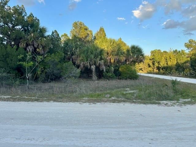 RAPIDAN ROAD, Weeki Wachee, FL 34614