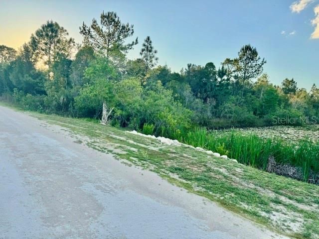 RAPIDAN ROAD, Weeki Wachee, FL 34614